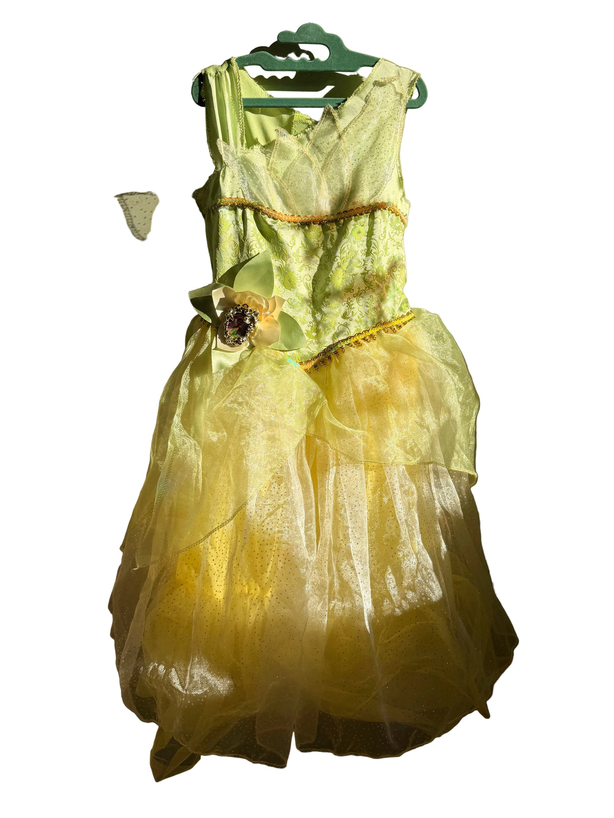 Disney Princess Tiana Costume – Size 4–6X