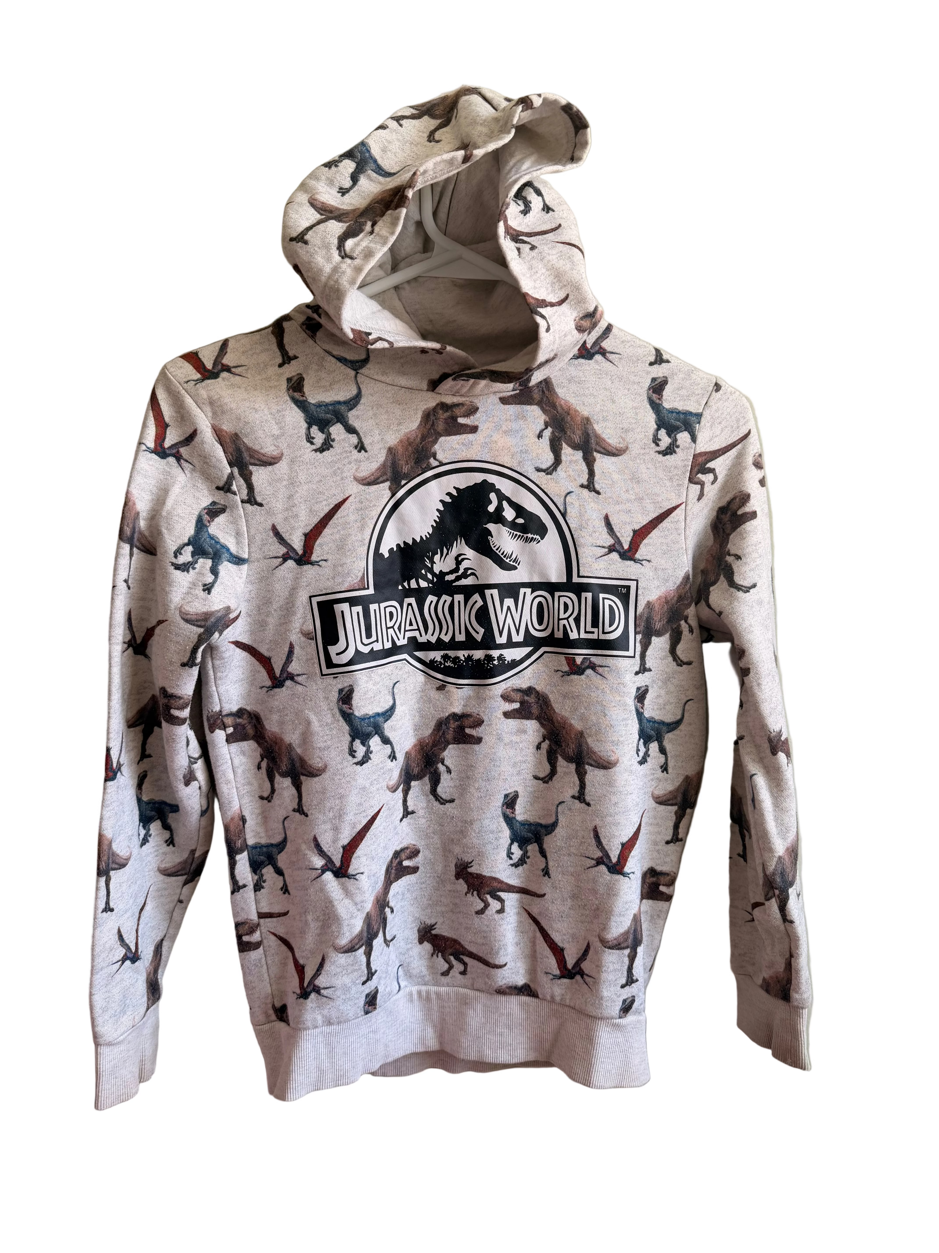 H&M Jurassic World Hoodie – Size 8–10Y