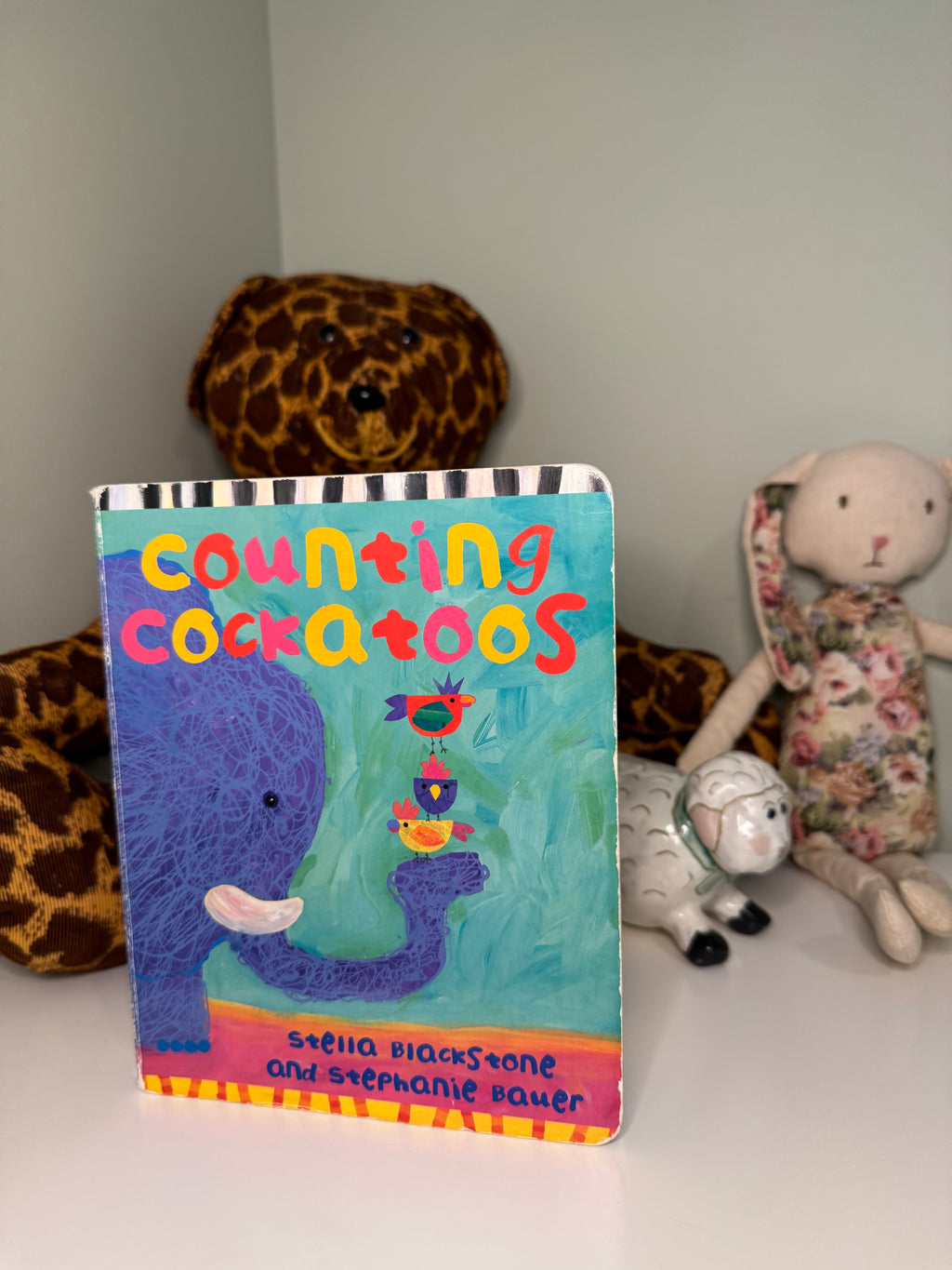 Board Book Bundle - 12 Books