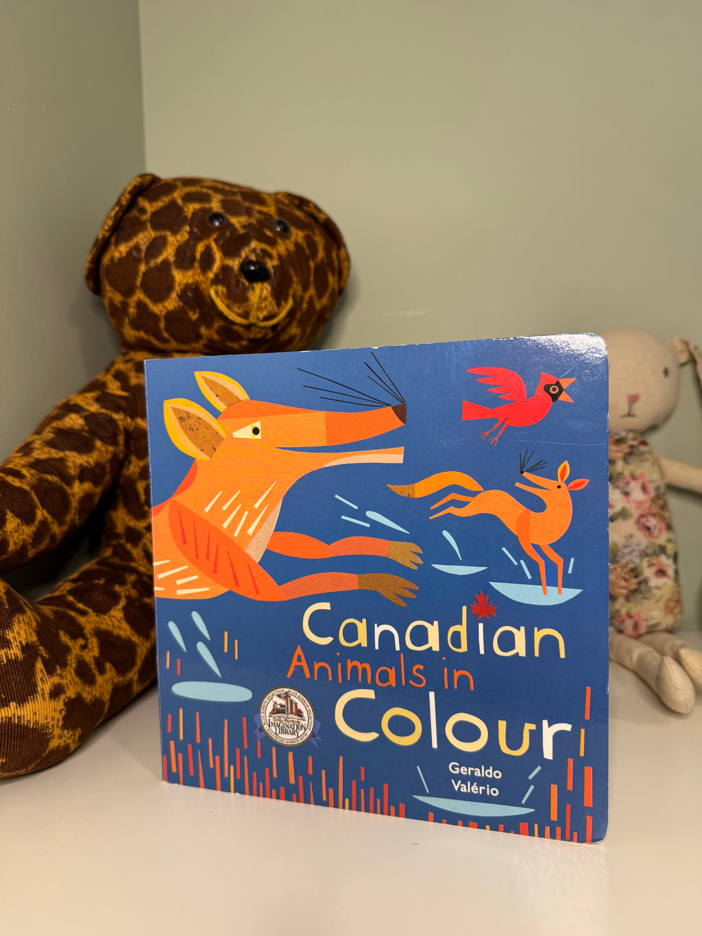 Board Book Bundle - 12 Books