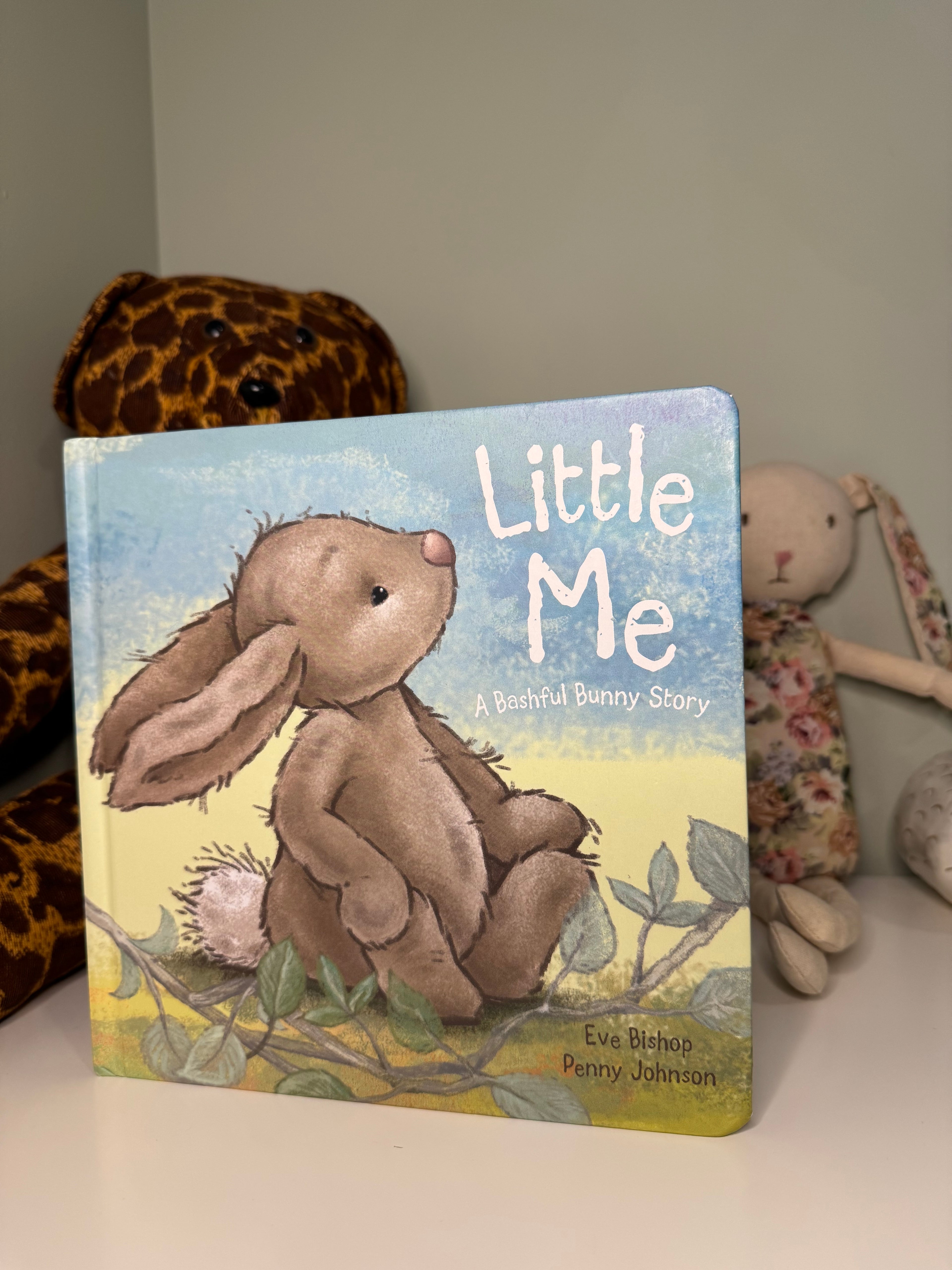 Board Book Bundle - 12 Books