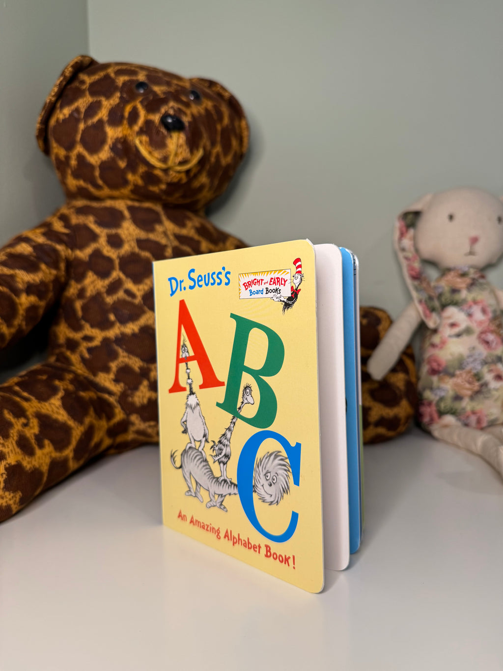 Board Book Bundle - 12 Books