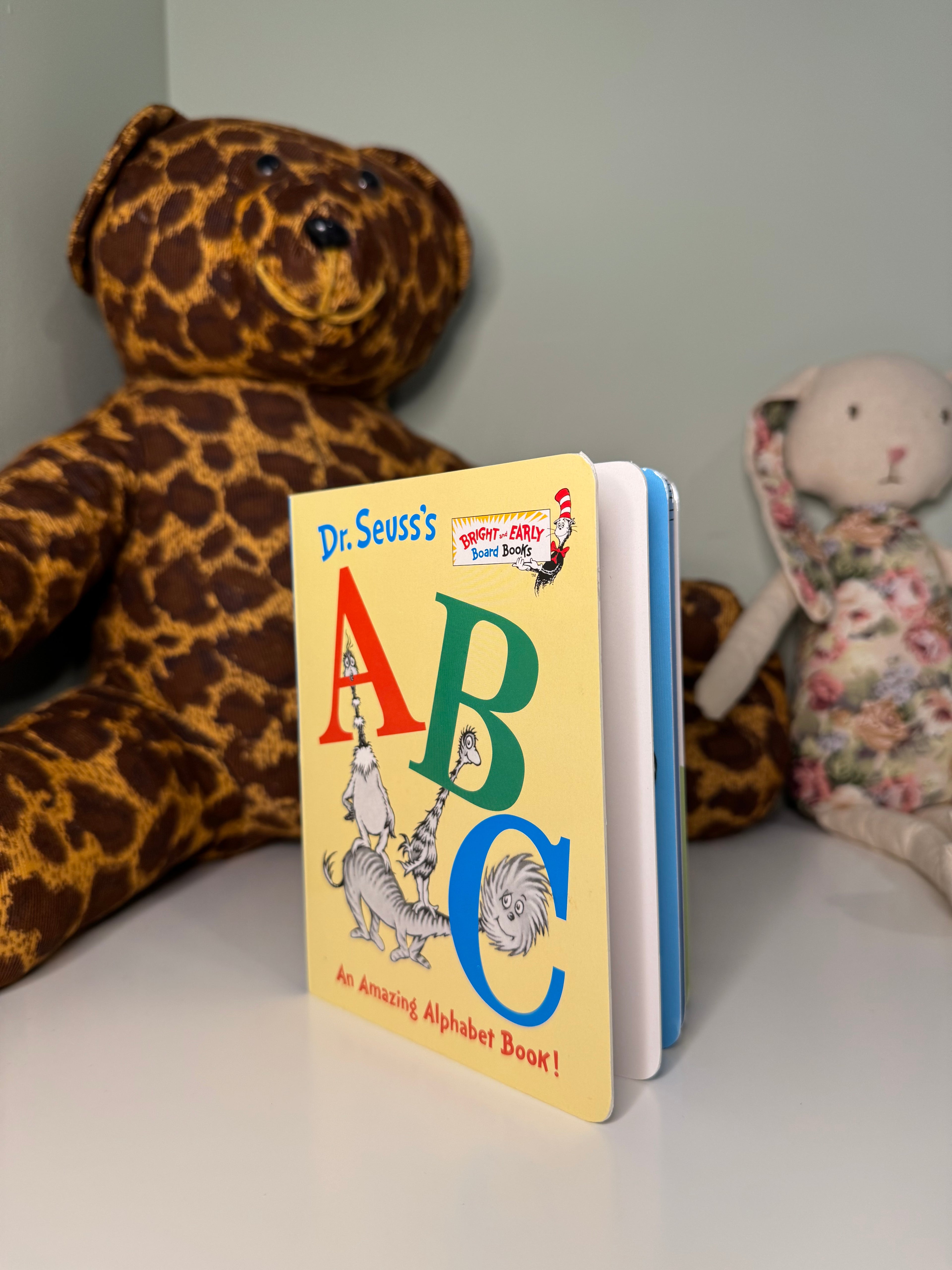 Board Book Bundle - 12 Books