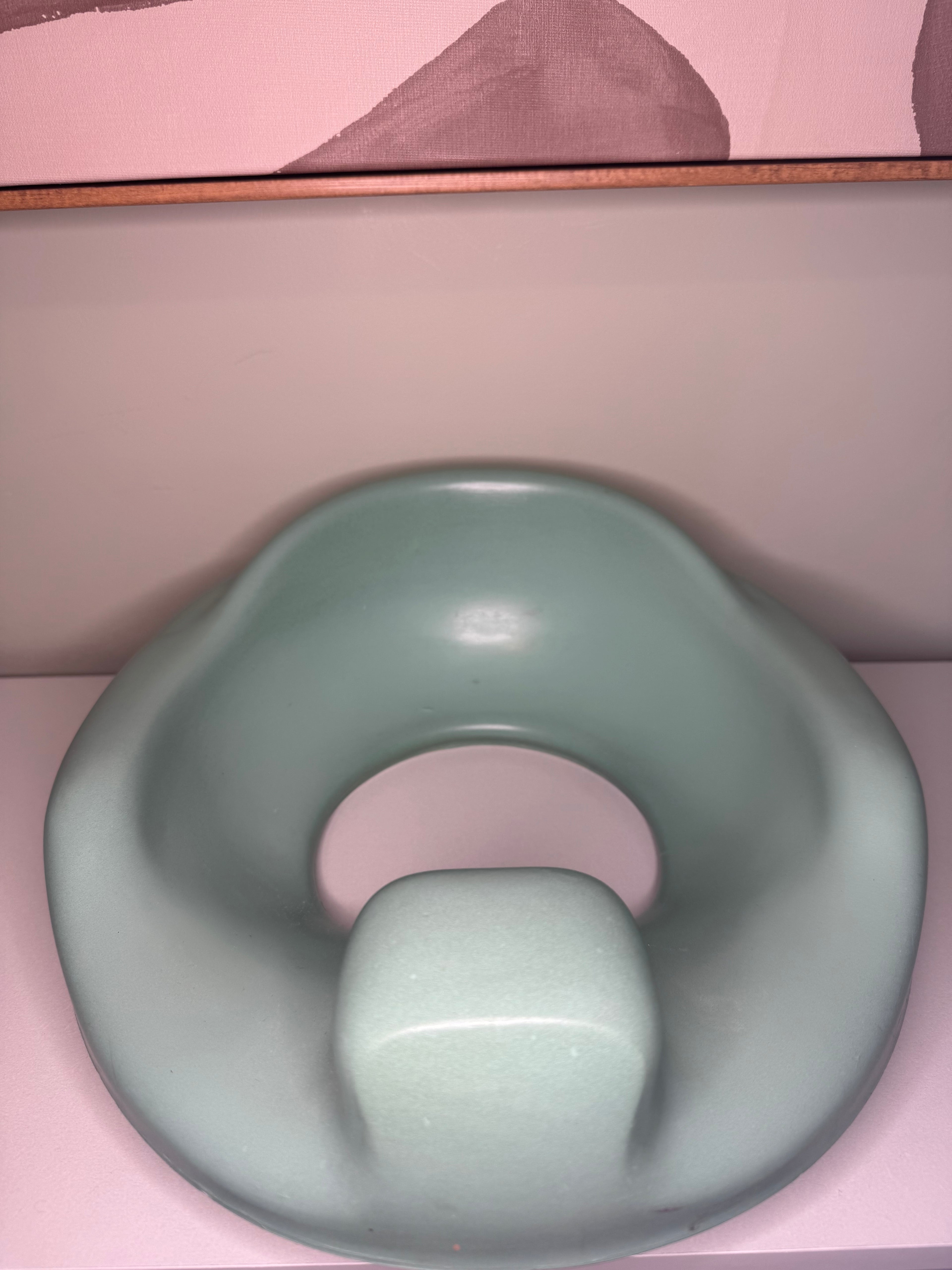 Foam Potty Training Seat – Mint Green